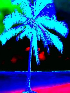 palm_tree_21